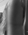 Filename=Beyonc_-_Flaws_And_All_flv4765.jpg
Filesize=20KiB
Dimensions=640x480
Date added=Aug 06, 2012 Beyonc_-_Flaws_And_All_flv4765.jpg