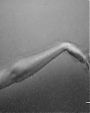 Filename=Beyonc_-_Flaws_And_All_flv4823.jpg
Filesize=18KiB
Dimensions=640x480
Date added=Aug 06, 2012 Beyonc_-_Flaws_And_All_flv4823.jpg