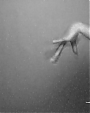 Filename=Beyonc_-_Flaws_And_All_flv4826.jpg
Filesize=18KiB
Dimensions=640x480
Date added=Aug 06, 2012 Beyonc_-_Flaws_And_All_flv4826.jpg