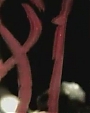Filename=Beyonc_-_Get_Me_Bodied_OFFICIAL_MUSIC_VIDEO_flv4981.jpg
Filesize=22KiB
Dimensions=800x600
Date added=Aug 06, 2012 Beyonc_-_Get_Me_Bodied_OFFICIAL_MUSIC_VIDEO_flv4981.jpg