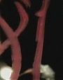 Filename=Beyonc_-_Get_Me_Bodied_OFFICIAL_MUSIC_VIDEO_flv4982.jpg
Filesize=22KiB
Dimensions=800x600
Date added=Aug 06, 2012 Beyonc_-_Get_Me_Bodied_OFFICIAL_MUSIC_VIDEO_flv4982.jpg