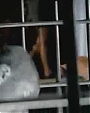 Filename=Beyonc_-_Get_Me_Bodied_OFFICIAL_MUSIC_VIDEO_flv5164.jpg
Filesize=38KiB
Dimensions=800x600
Date added=Aug 06, 2012 Beyonc_-_Get_Me_Bodied_OFFICIAL_MUSIC_VIDEO_flv5164.jpg