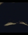Filename=Beyonc_-_Green_Light_flv4172.jpg
Filesize=15KiB
Dimensions=854x480
Date added=Aug 06, 2012 Beyonc_-_Green_Light_flv4172.jpg