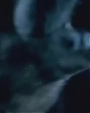 Filename=Beyonc_-_Halo_Alternative_Version_OFFICIAL_MUSIC_VIDEO_flv2917.jpg
Filesize=24KiB
Dimensions=964x541
Date added=Aug 06, 2012 Beyonc_-_Halo_Alternative_Version_OFFICIAL_MUSIC_VIDEO_flv2917.jpg
