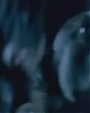Filename=Beyonc_-_Halo_Alternative_Version_OFFICIAL_MUSIC_VIDEO_flv2974.jpg
Filesize=24KiB
Dimensions=964x541
Date added=Aug 06, 2012 Beyonc_-_Halo_Alternative_Version_OFFICIAL_MUSIC_VIDEO_flv2974.jpg