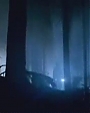 Filename=Beyonc_-_Halo_Alternative_Version_OFFICIAL_MUSIC_VIDEO_flv2989.jpg
Filesize=21KiB
Dimensions=964x541
Date added=Aug 06, 2012 Beyonc_-_Halo_Alternative_Version_OFFICIAL_MUSIC_VIDEO_flv2989.jpg