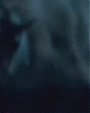 Filename=Beyonc_-_Halo_Alternative_Version_OFFICIAL_MUSIC_VIDEO_flv3133.jpg
Filesize=19KiB
Dimensions=964x541
Date added=Aug 06, 2012 Beyonc_-_Halo_Alternative_Version_OFFICIAL_MUSIC_VIDEO_flv3133.jpg