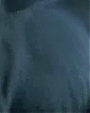 Filename=Beyonc_-_Halo_Alternative_Version_OFFICIAL_MUSIC_VIDEO_flv3135.jpg
Filesize=22KiB
Dimensions=964x541
Date added=Aug 06, 2012 Beyonc_-_Halo_Alternative_Version_OFFICIAL_MUSIC_VIDEO_flv3135.jpg