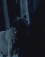 Filename=Beyonc_-_Halo_Alternative_Version_OFFICIAL_MUSIC_VIDEO_flv3148.jpg
Filesize=21KiB
Dimensions=964x541
Date added=Aug 06, 2012 Beyonc_-_Halo_Alternative_Version_OFFICIAL_MUSIC_VIDEO_flv3148.jpg
