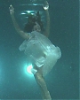 Filename=Beyonc_-_I_Was_Here_Live_at_Roseland_mp45782.jpg
Filesize=104KiB
Dimensions=1500x844
Date added=Aug 06, 2012 Beyonc_-_I_Was_Here_Live_at_Roseland_mp45782.jpg
