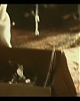 Filename=Beyonc_-_Irreplaceable_flv0871.jpg
Filesize=40KiB
Dimensions=1000x561
Date added=Aug 06, 2012 Beyonc_-_Irreplaceable_flv0871.jpg