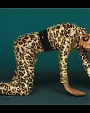 Filename=Beyonc_-_Kitty_Kat_flv3982.jpg
Filesize=35KiB
Dimensions=854x480
Date added=Aug 06, 2012 Beyonc_-_Kitty_Kat_flv3982.jpg