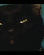 Filename=Beyonc_-_Kitty_Kat_flv3985.jpg
Filesize=17KiB
Dimensions=854x480
Date added=Aug 06, 2012 Beyonc_-_Kitty_Kat_flv3985.jpg