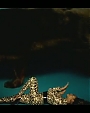 Filename=Beyonc_-_Kitty_Kat_flv3992.jpg
Filesize=21KiB
Dimensions=854x480
Date added=Aug 06, 2012 Beyonc_-_Kitty_Kat_flv3992.jpg