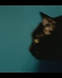 Filename=Beyonc_-_Kitty_Kat_flv3996.jpg
Filesize=16KiB
Dimensions=854x480
Date added=Aug 06, 2012 Beyonc_-_Kitty_Kat_flv3996.jpg