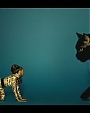Filename=Beyonc_-_Kitty_Kat_flv4002.jpg
Filesize=19KiB
Dimensions=854x480
Date added=Aug 06, 2012 Beyonc_-_Kitty_Kat_flv4002.jpg