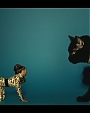 Filename=Beyonc_-_Kitty_Kat_flv4003.jpg
Filesize=19KiB
Dimensions=854x480
Date added=Aug 06, 2012 Beyonc_-_Kitty_Kat_flv4003.jpg