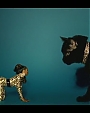 Filename=Beyonc_-_Kitty_Kat_flv4004.jpg
Filesize=20KiB
Dimensions=854x480
Date added=Aug 06, 2012 Beyonc_-_Kitty_Kat_flv4004.jpg