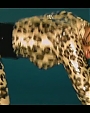 Filename=Beyonc_-_Kitty_Kat_flv4012.jpg
Filesize=50KiB
Dimensions=854x480
Date added=Aug 06, 2012 Beyonc_-_Kitty_Kat_flv4012.jpg