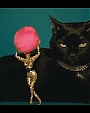 Filename=Beyonc_-_Kitty_Kat_flv4014.jpg
Filesize=21KiB
Dimensions=854x480
Date added=Aug 06, 2012 Beyonc_-_Kitty_Kat_flv4014.jpg