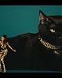Filename=Beyonc_-_Kitty_Kat_flv4015.jpg
Filesize=22KiB
Dimensions=854x480
Date added=Aug 06, 2012 Beyonc_-_Kitty_Kat_flv4015.jpg