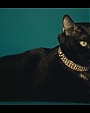 Filename=Beyonc_-_Kitty_Kat_flv4016.jpg
Filesize=24KiB
Dimensions=854x480
Date added=Aug 06, 2012 Beyonc_-_Kitty_Kat_flv4016.jpg