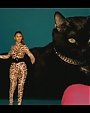 Filename=Beyonc_-_Kitty_Kat_flv4032.jpg
Filesize=23KiB
Dimensions=854x480
Date added=Aug 06, 2012 Beyonc_-_Kitty_Kat_flv4032.jpg