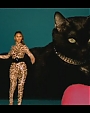 Beyonc_-_Kitty_Kat_flv4032.jpg