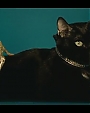 Filename=Beyonc_-_Kitty_Kat_flv4036.jpg
Filesize=21KiB
Dimensions=854x480
Date added=Aug 06, 2012 Beyonc_-_Kitty_Kat_flv4036.jpg