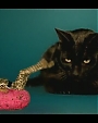 Filename=Beyonc_-_Kitty_Kat_flv4039.jpg
Filesize=22KiB
Dimensions=854x480
Date added=Aug 06, 2012 Beyonc_-_Kitty_Kat_flv4039.jpg