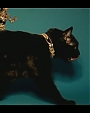 Filename=Beyonc_-_Kitty_Kat_flv4044.jpg
Filesize=20KiB
Dimensions=854x480
Date added=Aug 06, 2012 Beyonc_-_Kitty_Kat_flv4044.jpg