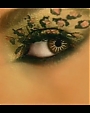 Filename=Beyonc_-_Kitty_Kat_flv4049.jpg
Filesize=27KiB
Dimensions=854x480
Date added=Aug 06, 2012 Beyonc_-_Kitty_Kat_flv4049.jpg