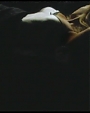 Filename=Beyonc_-_Sweet_Dreams_flv0031.jpg
Filesize=14KiB
Dimensions=854x480
Date added=Aug 06, 2012 Beyonc_-_Sweet_Dreams_flv0031.jpg