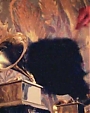 Filename=Beyonc_-_Why_Don_t_You_Love_Me_flv2561.jpg
Filesize=50KiB
Dimensions=800x600
Date added=Aug 06, 2012 Beyonc_-_Why_Don_t_You_Love_Me_flv2561.jpg