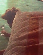 Filename=Beyonc_-_Why_Don_t_You_Love_Me_flv2692.jpg
Filesize=34KiB
Dimensions=800x600
Date added=Aug 06, 2012 Beyonc_-_Why_Don_t_You_Love_Me_flv2692.jpg