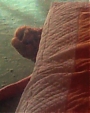 Filename=Beyonc_-_Why_Don_t_You_Love_Me_flv2694.jpg
Filesize=37KiB
Dimensions=800x600
Date added=Aug 06, 2012 Beyonc_-_Why_Don_t_You_Love_Me_flv2694.jpg