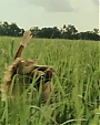 Filename=Beyonc_feat__Jay-Z_-_Deja_Vu_ft__Jay-Z_flv0153.jpg
Filesize=38KiB
Dimensions=640x480
Date added=Aug 06, 2012 Beyonc_feat__Jay-Z_-_Deja_Vu_ft__Jay-Z_flv0153.jpg