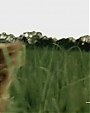 Filename=Beyonc_feat__Jay-Z_-_Deja_Vu_ft__Jay-Z_flv0176.jpg
Filesize=21KiB
Dimensions=640x480
Date added=Aug 06, 2012 Beyonc_feat__Jay-Z_-_Deja_Vu_ft__Jay-Z_flv0176.jpg