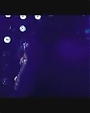 Filename=Beyonce-_Listen_flv2110.jpg
Filesize=20KiB
Dimensions=800x472
Date added=Aug 06, 2012 Beyonce-_Listen_flv2110.jpg