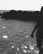 Filename=Beyonce_-_Still_In_Love_Kissing_You_mp40514.jpg
Filesize=56KiB
Dimensions=1280x720
Date added=Aug 06, 2012 Beyonce_-_Still_In_Love_Kissing_You_mp40514.jpg
