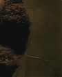 Filename=Beyonce_Shakira_-_Beautiful_Liar_flv3830.jpg
Filesize=20KiB
Dimensions=800x600
Date added=Aug 06, 2012 Beyonce_Shakira_-_Beautiful_Liar_flv3830.jpg