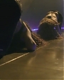 Filename=Beyonce_Shakira_-_Beautiful_Liar_flv3838.jpg
Filesize=24KiB
Dimensions=800x600
Date added=Aug 06, 2012 Beyonce_Shakira_-_Beautiful_Liar_flv3838.jpg