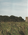 Filename=022.png
Filesize=8411KiB
Dimensions=1500x2151
Date added=May 31, 2012 022.png