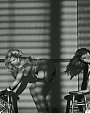 Filename=Beyonc_-_Dance_For_You_mp45304.jpg
Filesize=95KiB
Dimensions=1500x844
Date added=Aug 06, 2012 Beyonc_-_Dance_For_You_mp45304.jpg