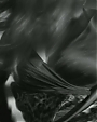 Filename=Beyonc_-_Dance_For_You_mp45308.jpg
Filesize=71KiB
Dimensions=1500x844
Date added=Aug 06, 2012 Beyonc_-_Dance_For_You_mp45308.jpg